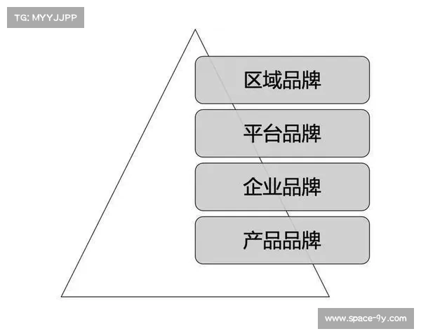 体育人才培育体系当前构建产学研协同链，打通知识转化路径